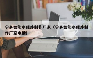德州宁乡智能小程序制作厂家（宁乡智能小程序制作厂家电话）