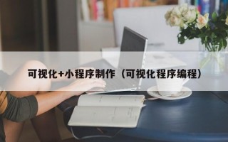 德州可视化+小程序制作（可视化程序编程）